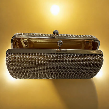 Mesh Box Clutch Handbag with Diamond Clasp